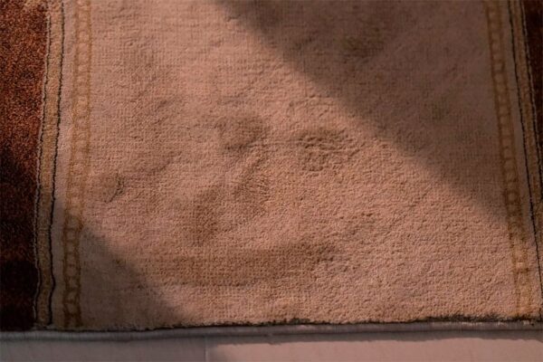 Krem-bej pamuklu banyo paspasının kahverengi kenar bordürleriyle dokulu yüzeyi, doğal ışıkta textil çekimi.